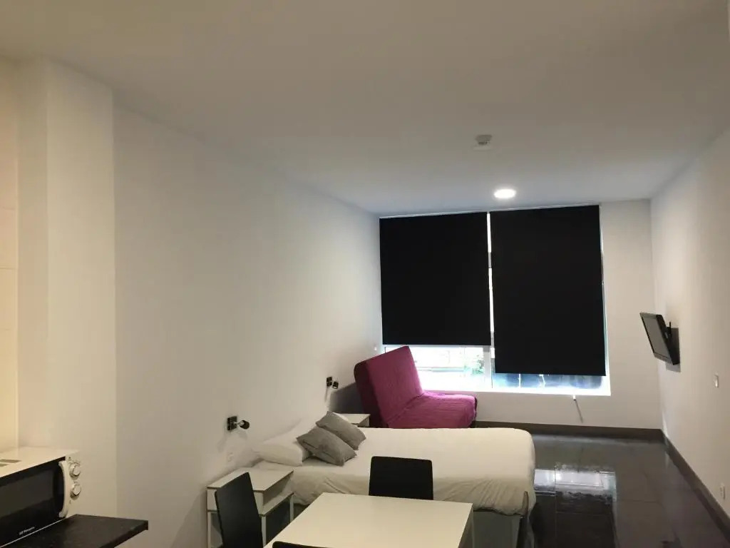 Room and Kitchen Bilbao