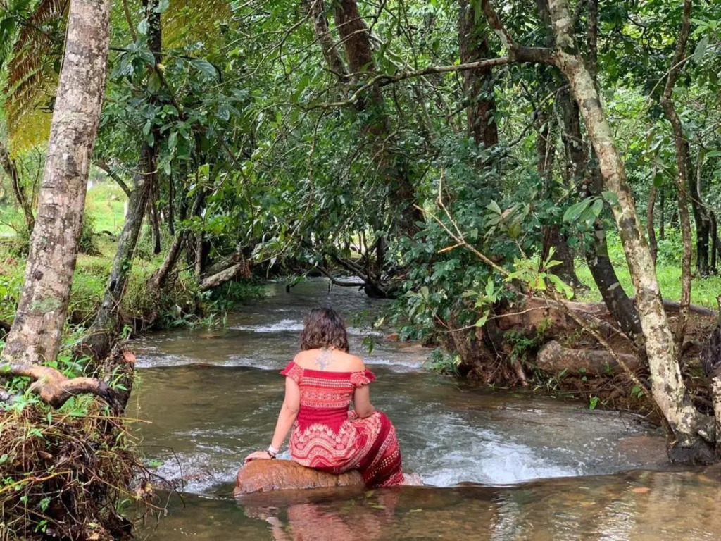 Abad Brookside Wayanad