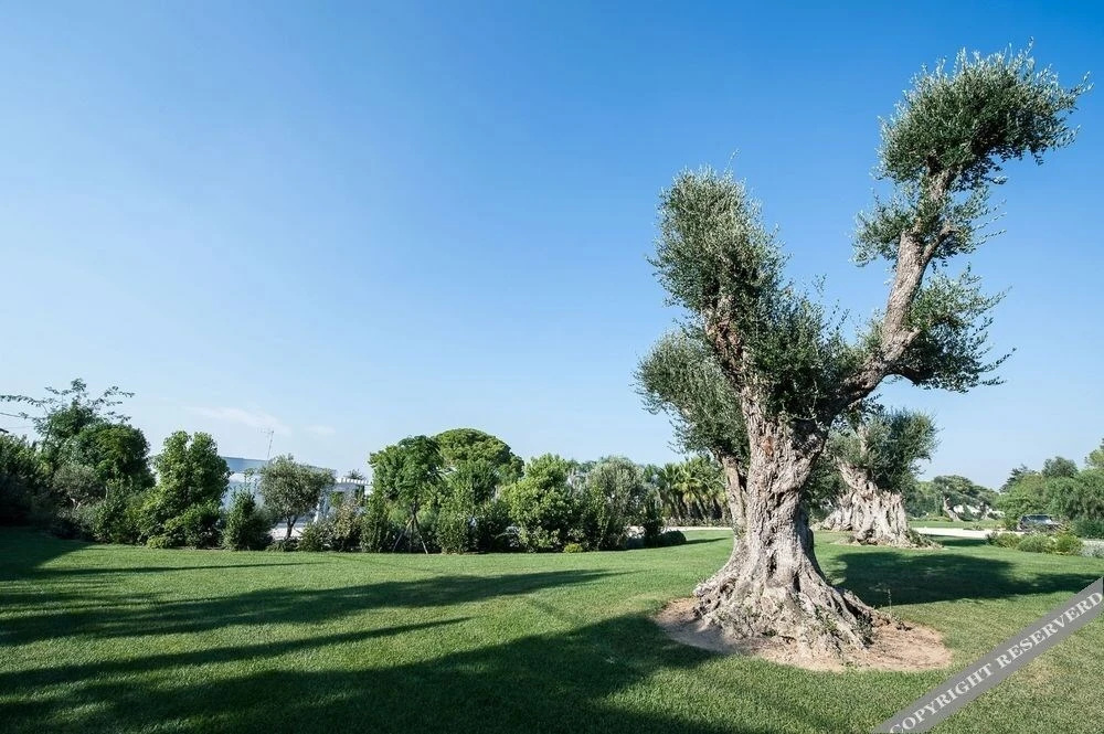 Relais Marchesi Imperiali B&b