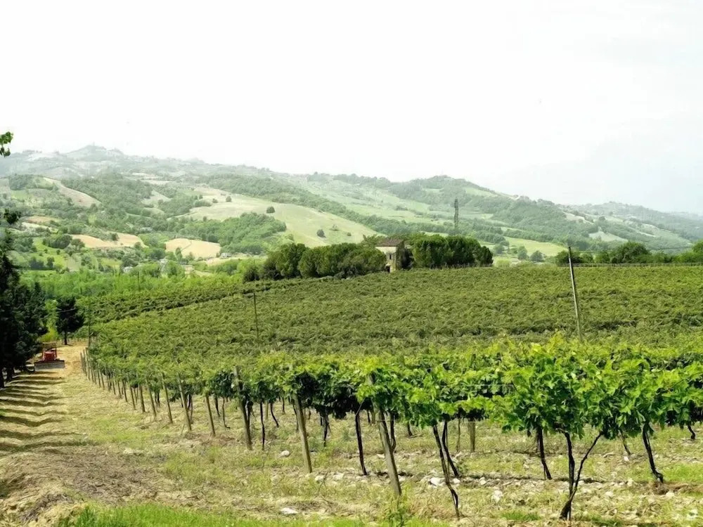 Casina Margherita