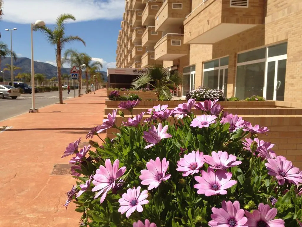 Apartamentos Be Suites Marina