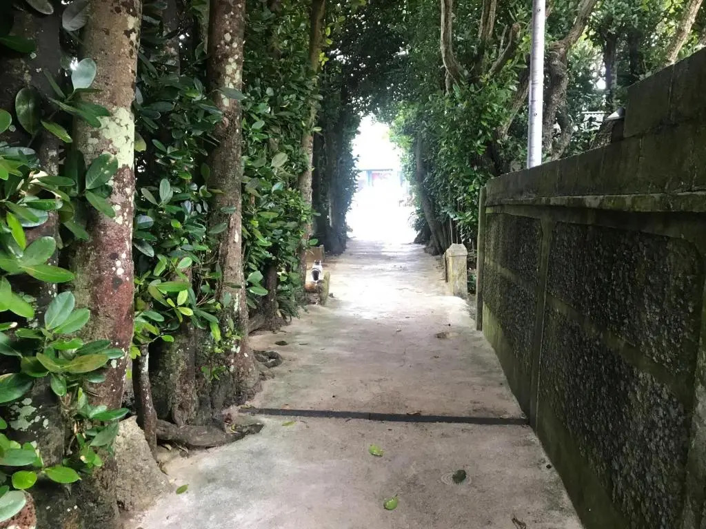 Niruyakanaya BISE - Vacation STAY 36704v