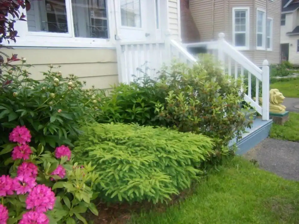 Glory Guest House