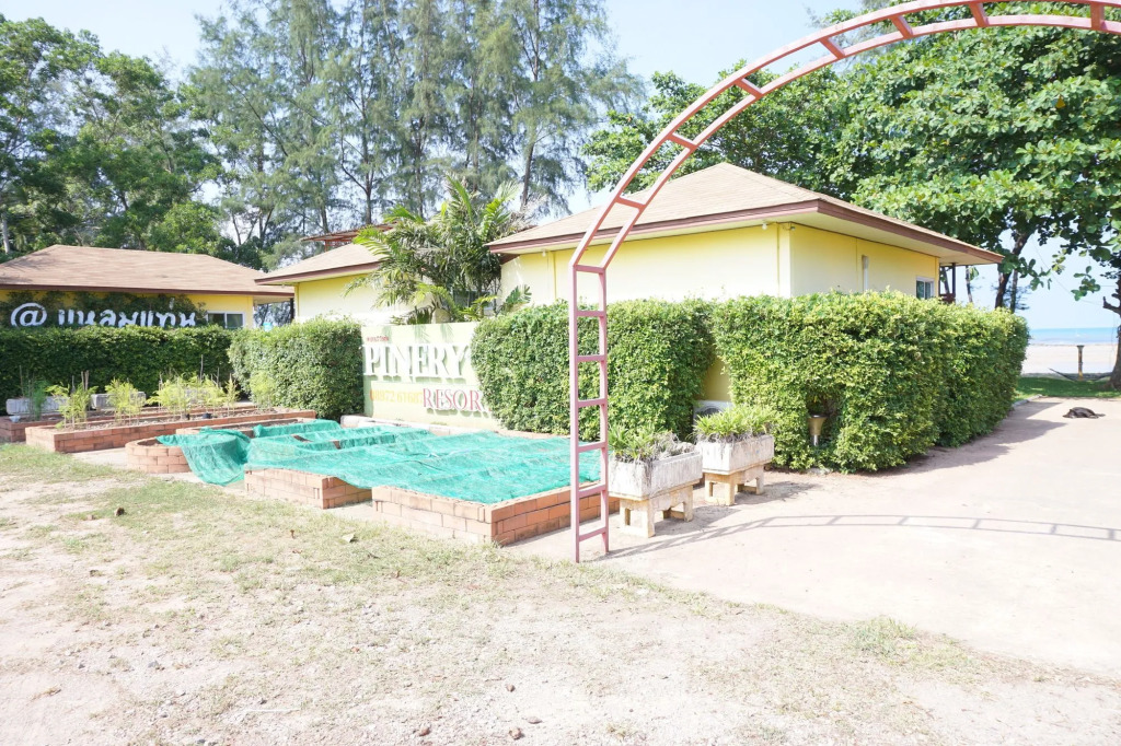 Pinery Resort