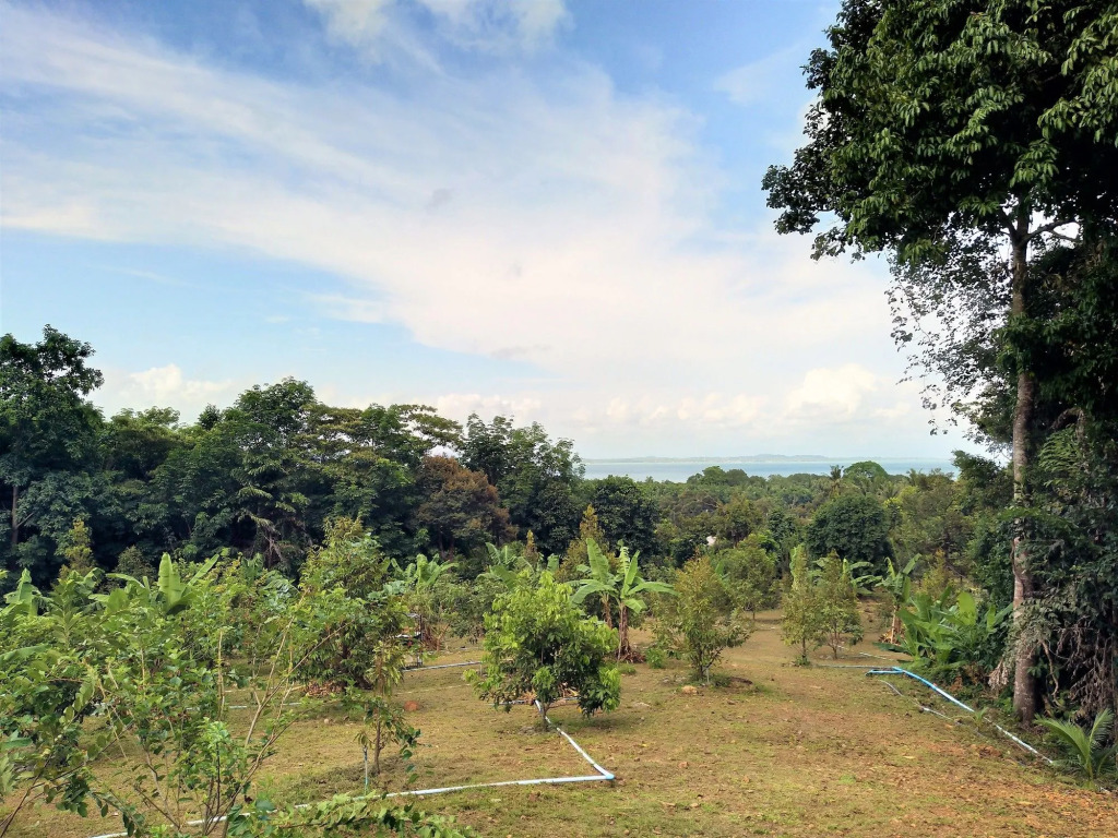 Somphoch Garden