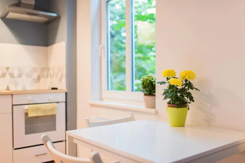 Light Studio Apartment