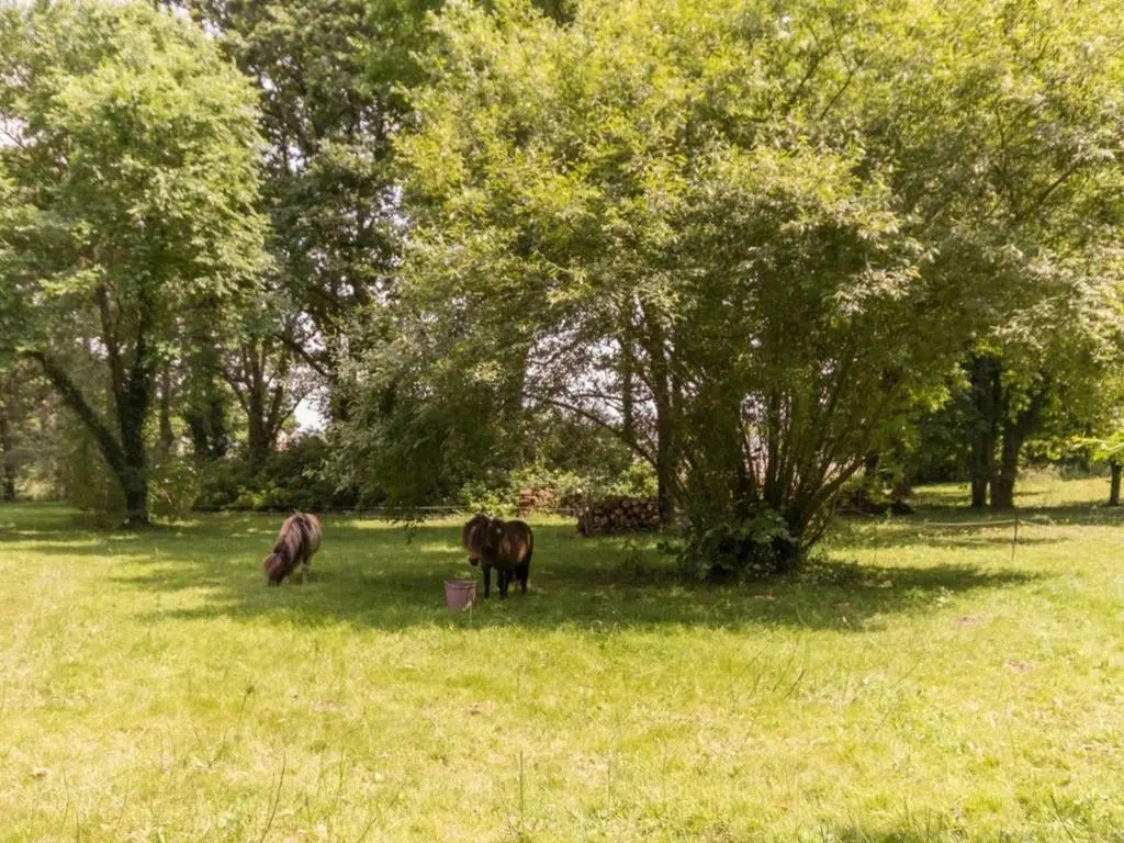 Gite Missillac, 4 pièces, 5 personnes - FR-1-306-971