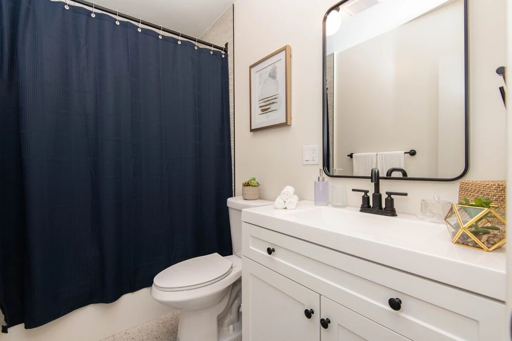 Stylish Apartment near Dodger St