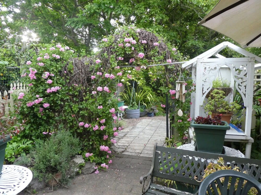 99 Tihi Rd Bed & Breakfast
