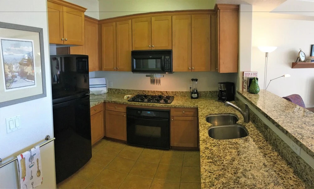 Luxury Condo in the Heart of the City