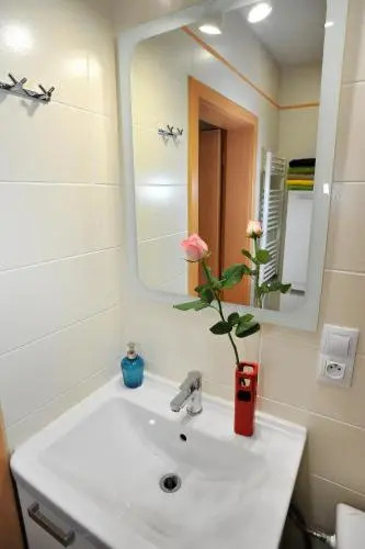 Condo in Vinohrady