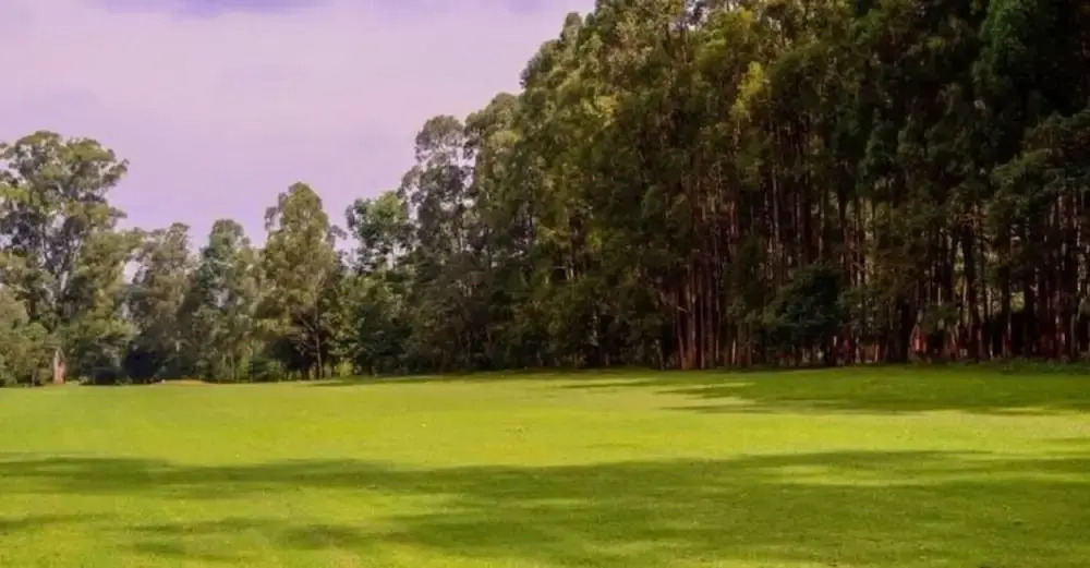 Kusi Hotel Kakamega