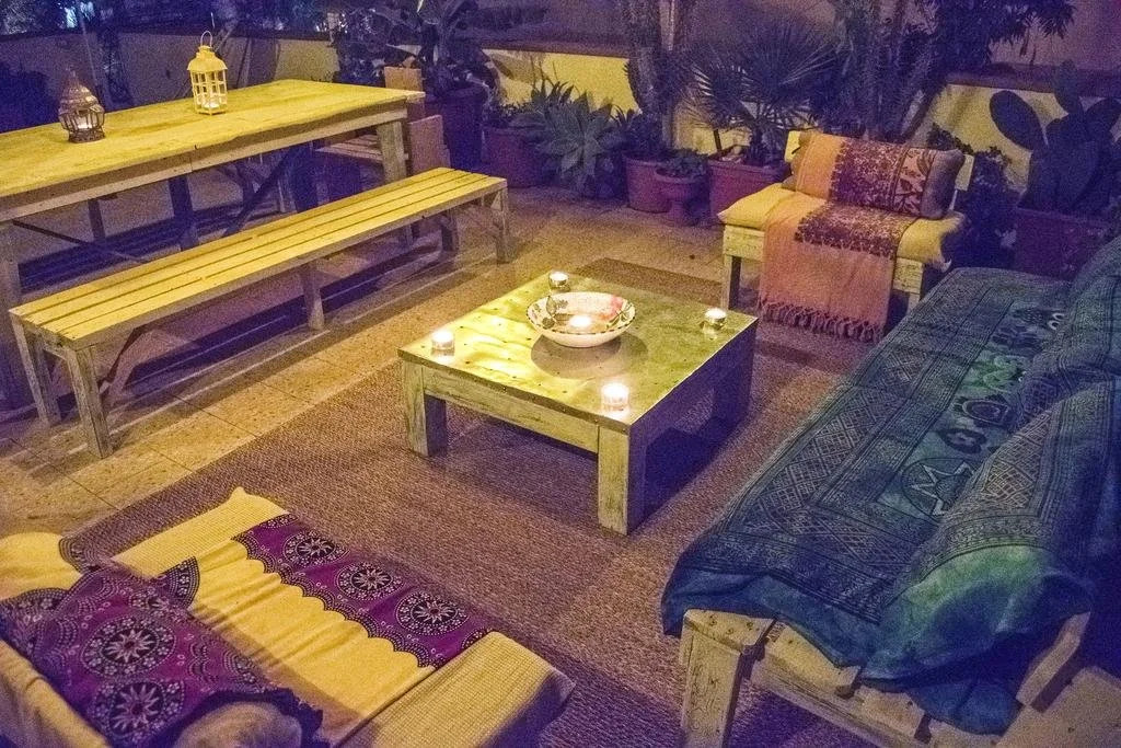 B&B Cactus