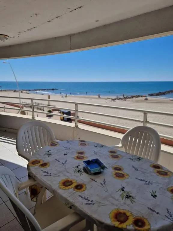 Nice 70m With Terrace In Front Of The Sea!