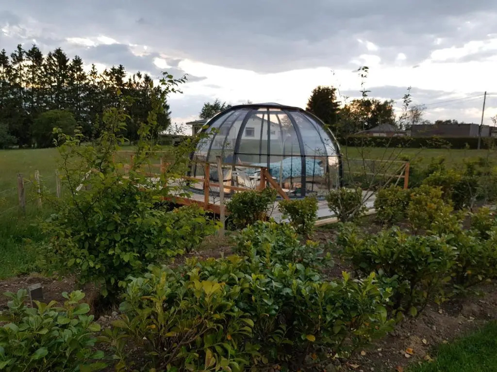 La bulle au bois dormant dovifat