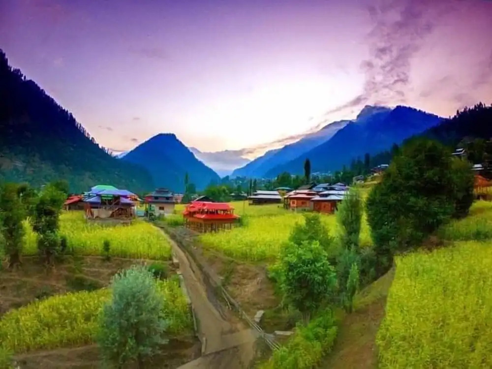 Wadi Resort