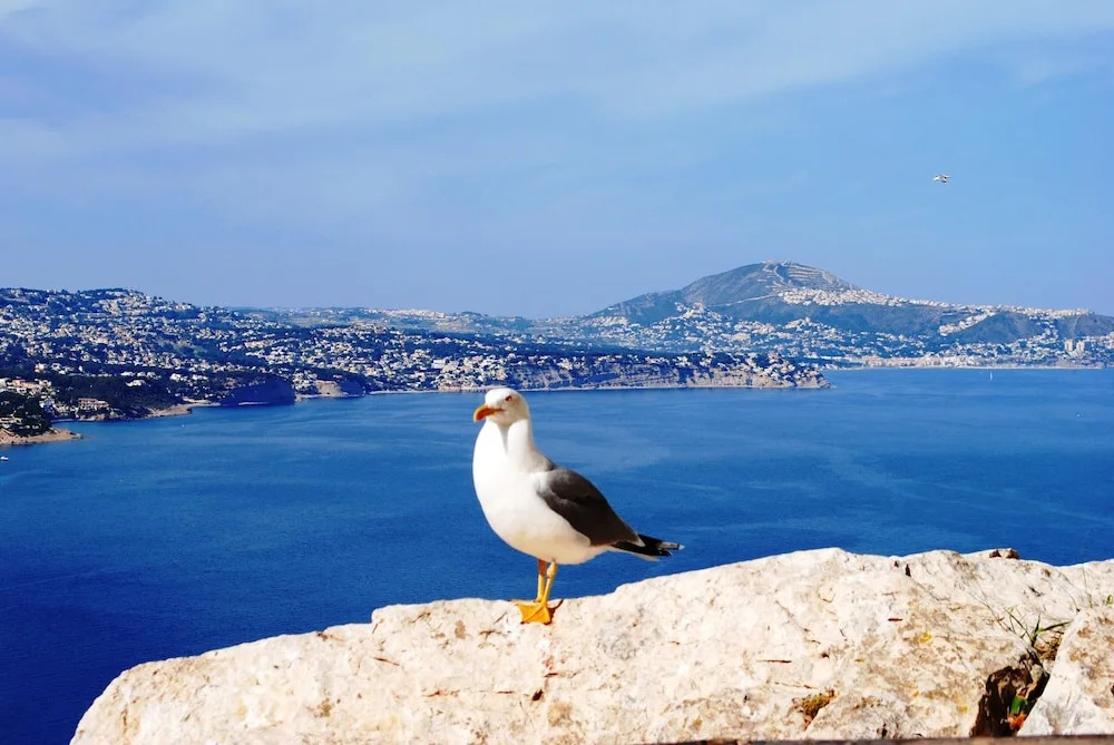 Apartment With one Bedroom in Altea, With Wonderful sea View, Pool Acc