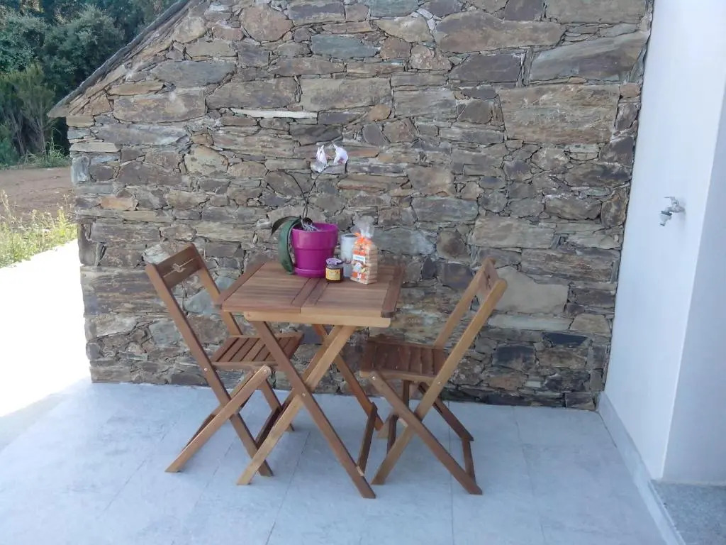 Appartement vue sur mer