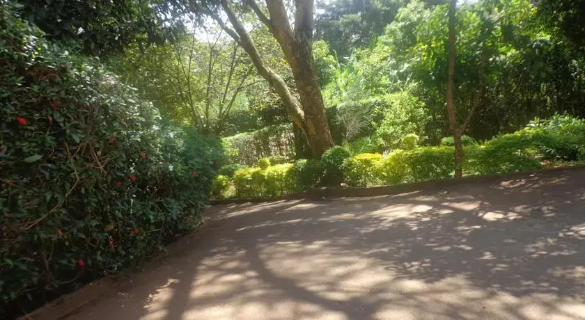 FortyWinks Home