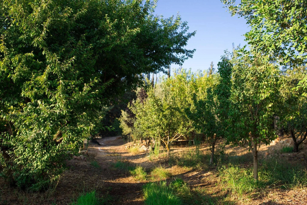 Tur Sinai Organic Farm Resort