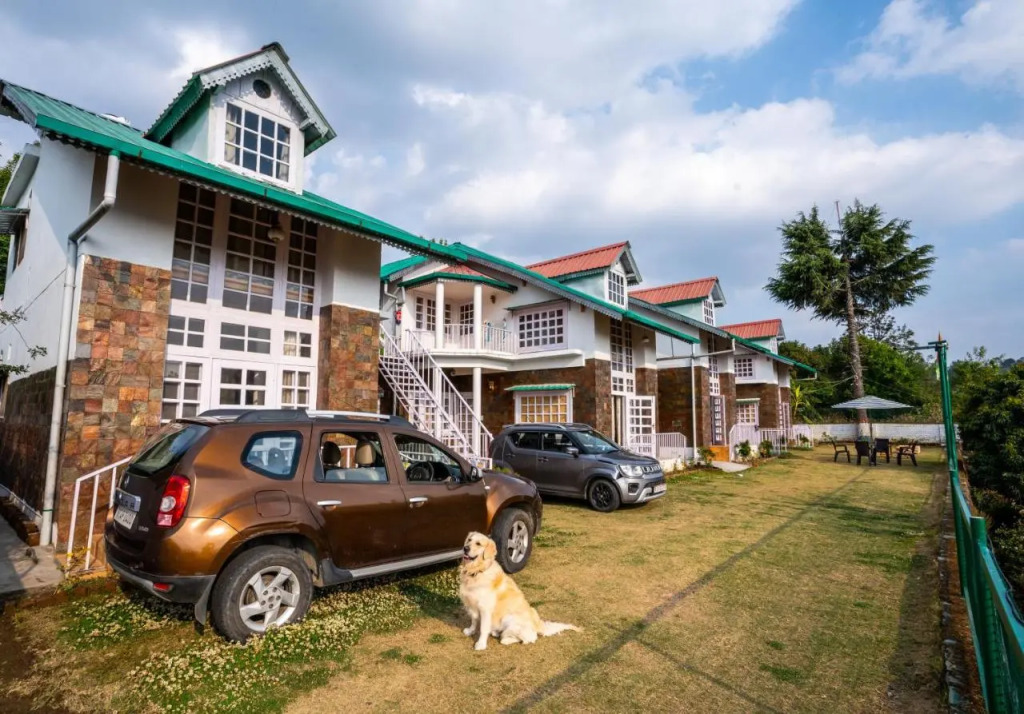 Brown Stone Villa