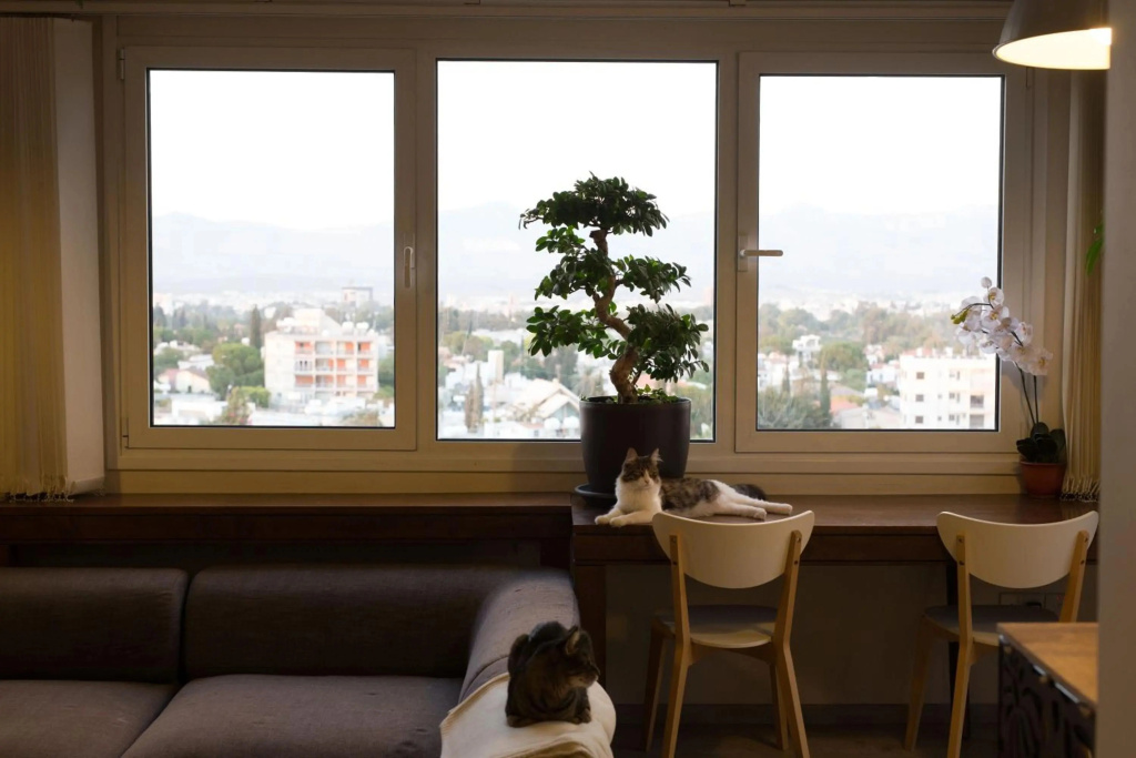 Vas Penthouse