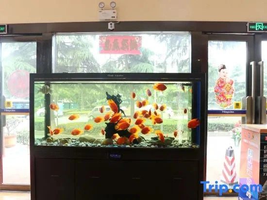 7Days Inn Chain Hotel