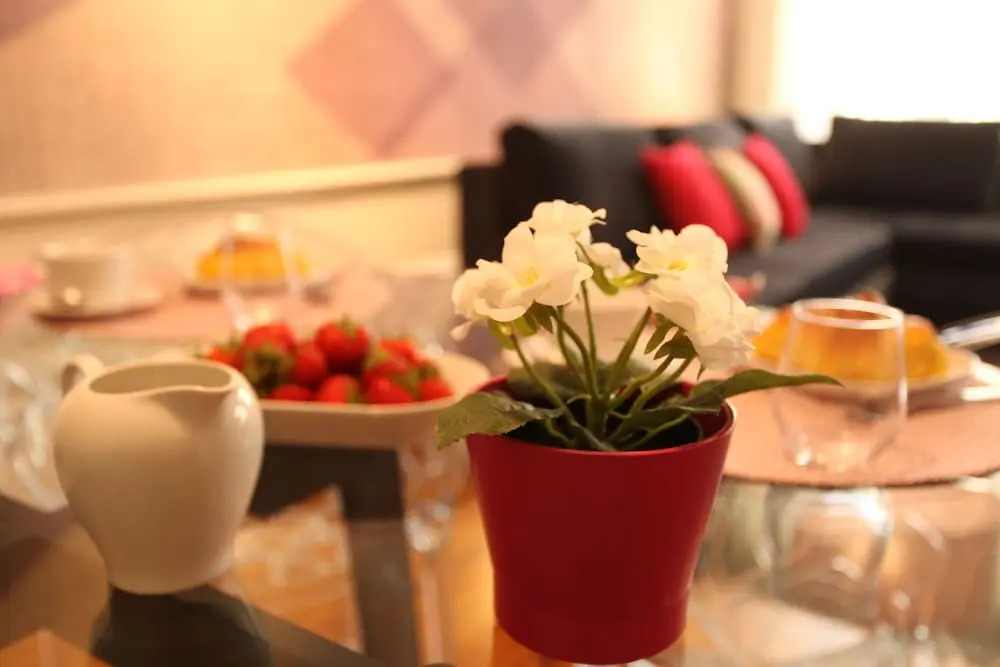 New Oporto Apartments - Mouzinho