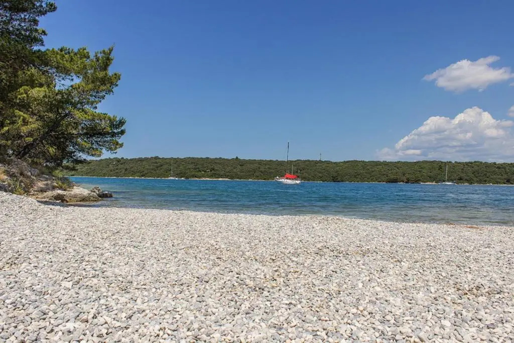 Complex of 2 villas Banjole-Mar with 2 private pools for up to 20 persons 200m from the beach - WiiBuk