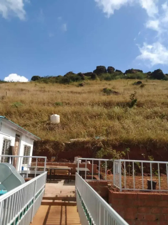 The Serenity Resort