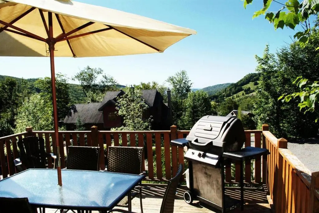 Chalets Alpins - 46 Chemin des Skieurs II