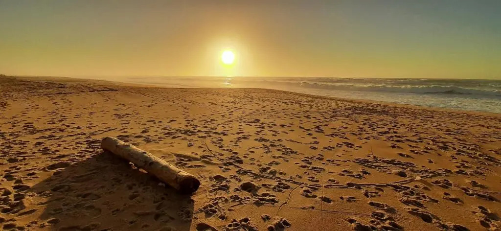 La maison de Maritxu - Entre plage et foret - Landes - Pays Basque