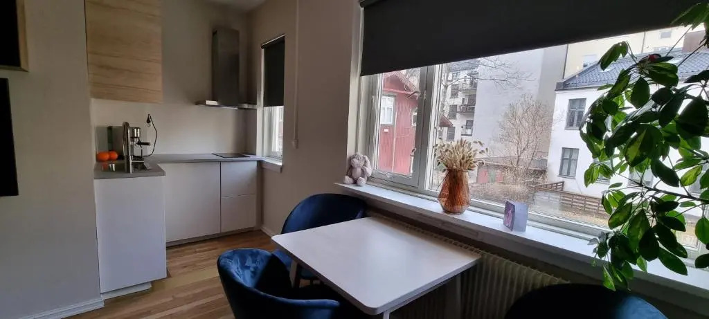 Majorstuen studio apartment