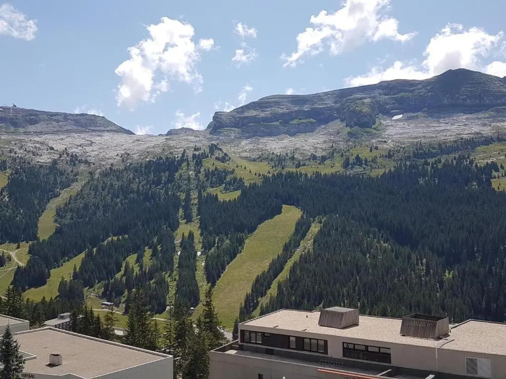 Appartement Flaine, 1 pièce, 4 personnes - FR-1-425-80