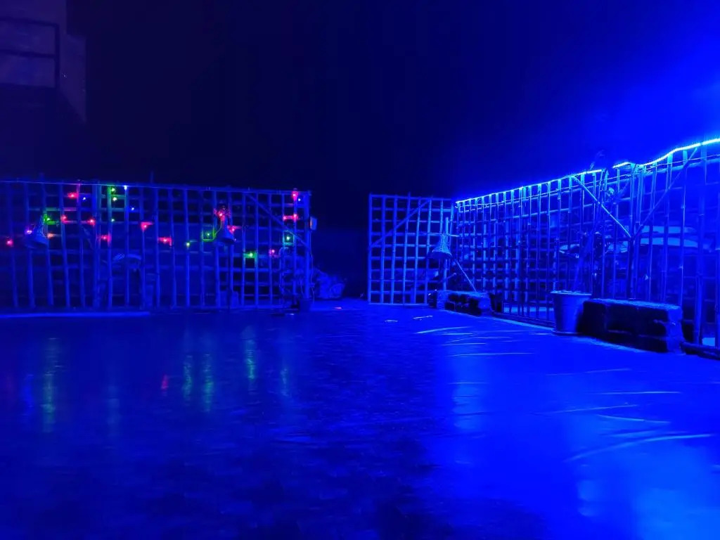 Lily Homestay