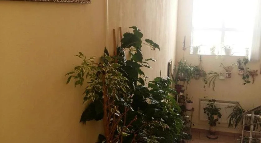 Mini-Hotel Brusnika