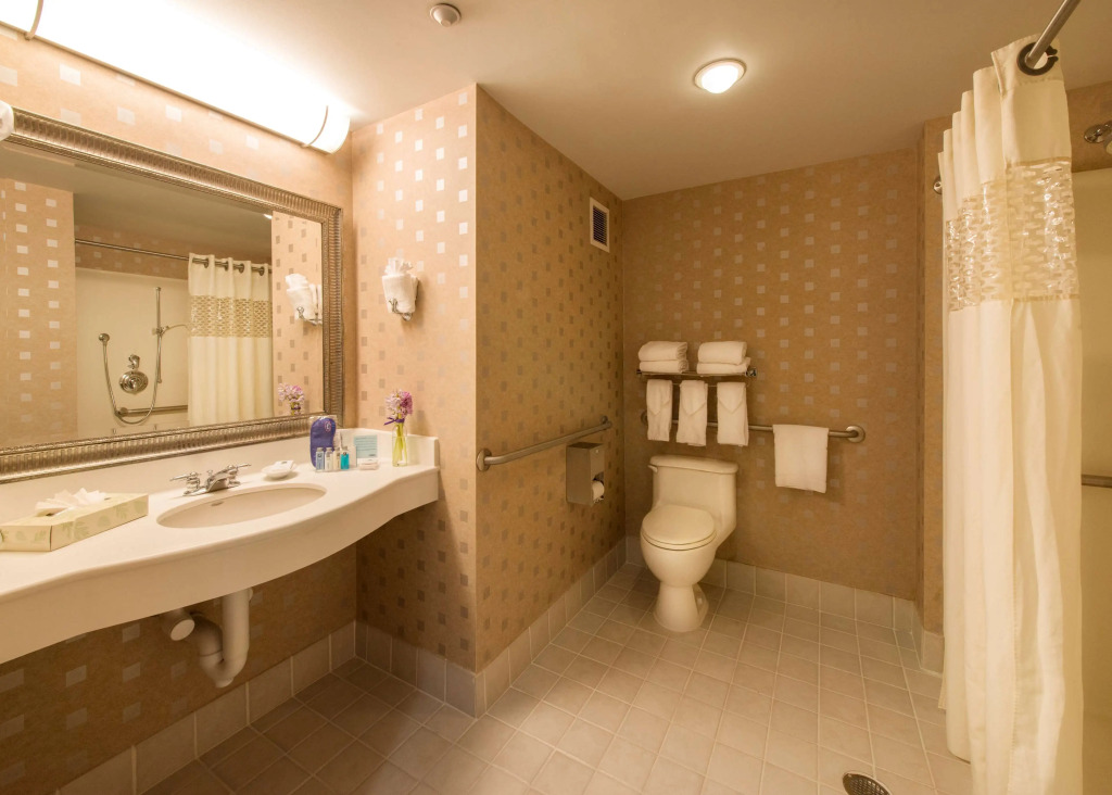 Hampton Inn & Suites Boston Crosstown Center