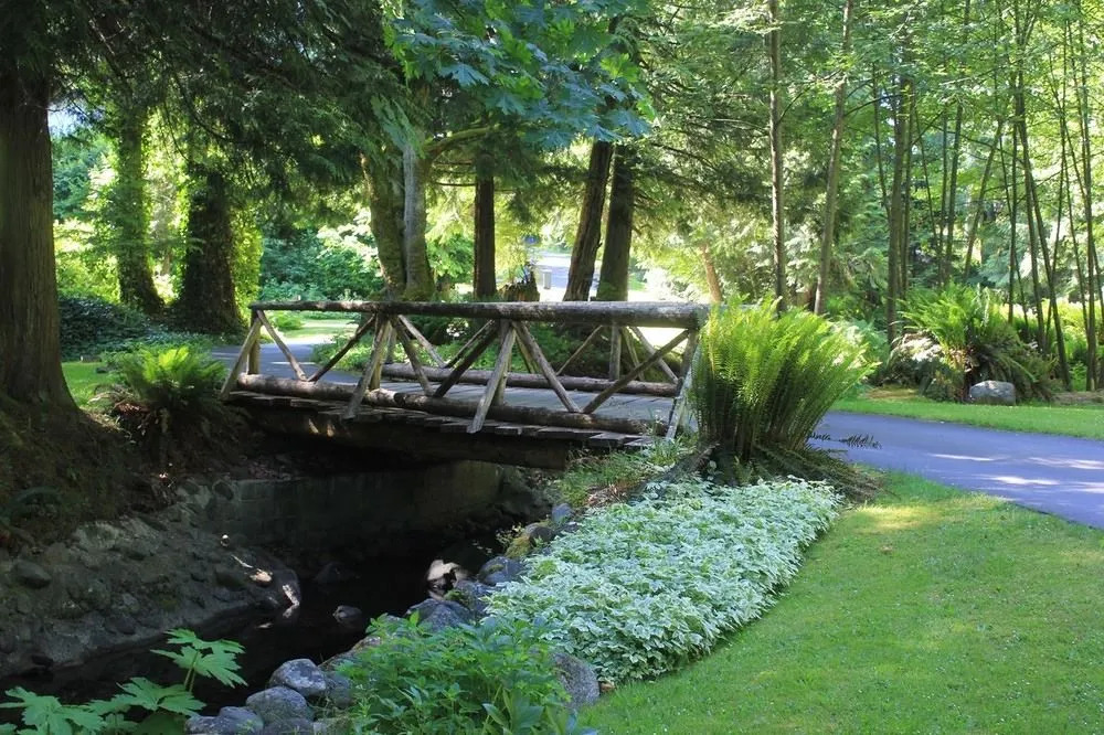 Creekside B & B