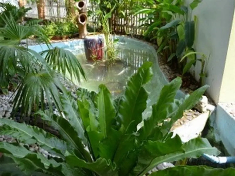 Ruanchaba Resort