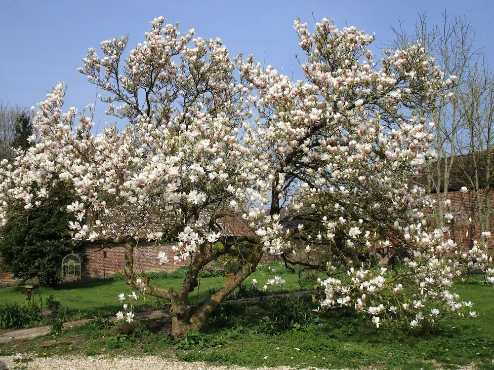 Dorset Farmhouse