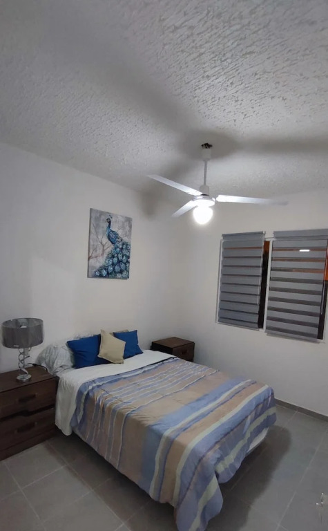 Apartamento  Pez cofre