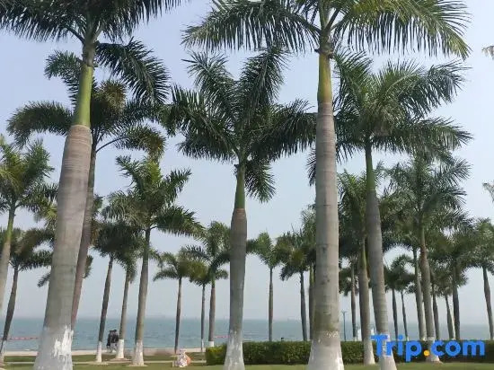 Maodou Seaview Apartment (Xiamen Sunshine Town Rainbow Beach Branch)