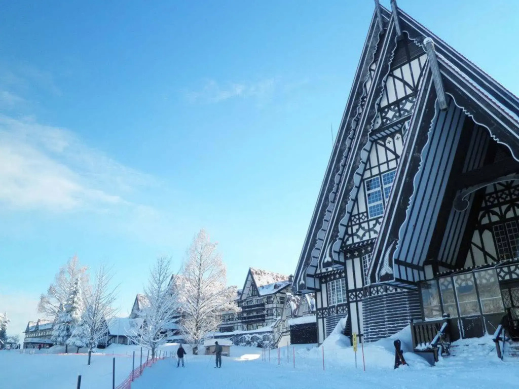 Hotel Green Plaza Joetsu