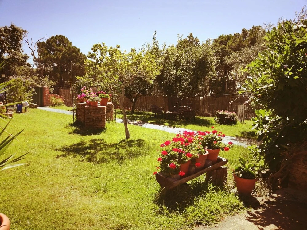 San Pascual Bailon