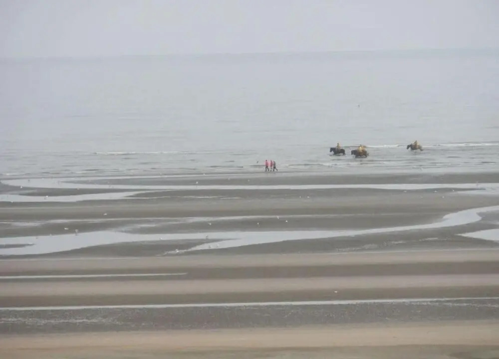Apartment in Koksijde Near the Beach
