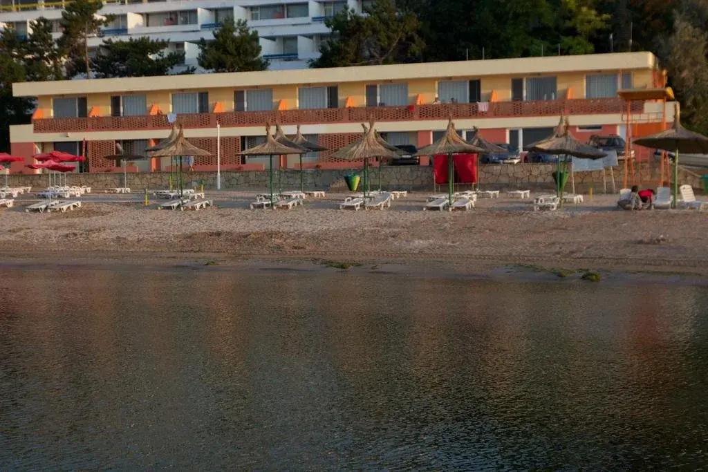 Egreta