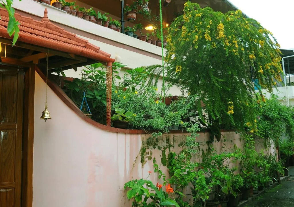 Silverweed homestay