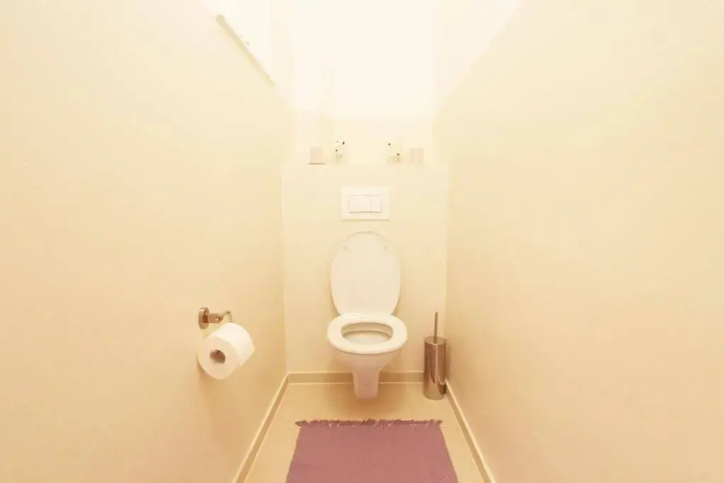 Apartment Traditional Living
