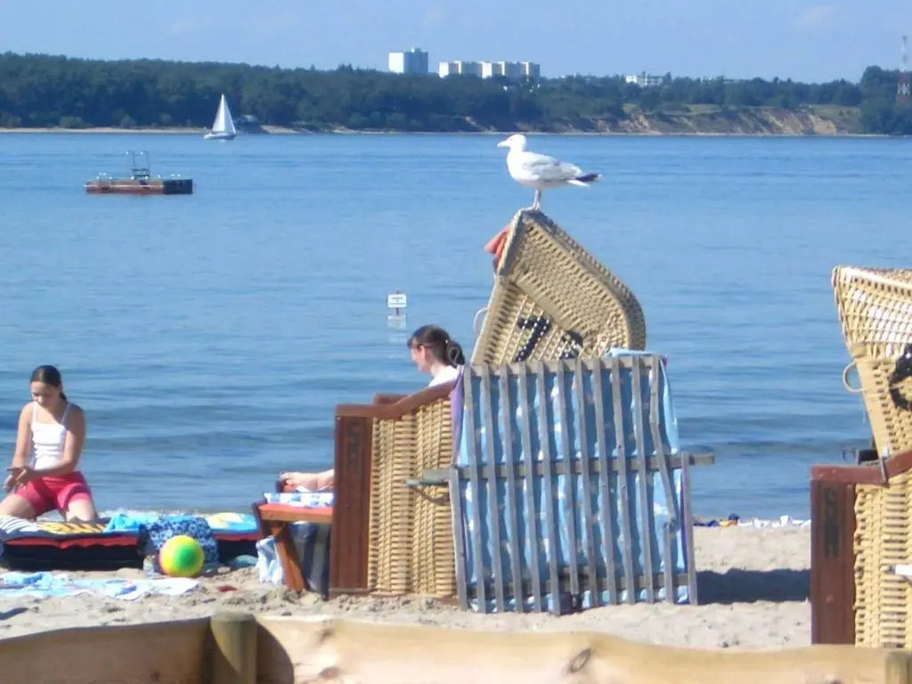 Hausboot Ankerplatz - Floating Home 2