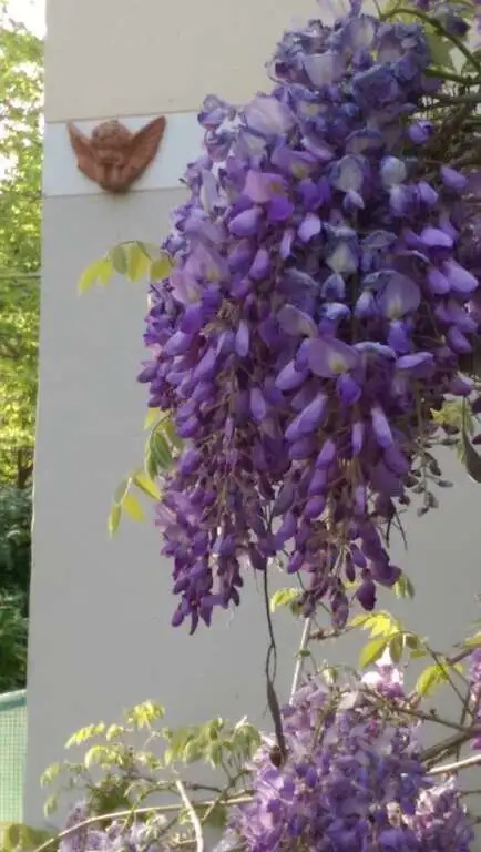 B&B Il Segnalibro